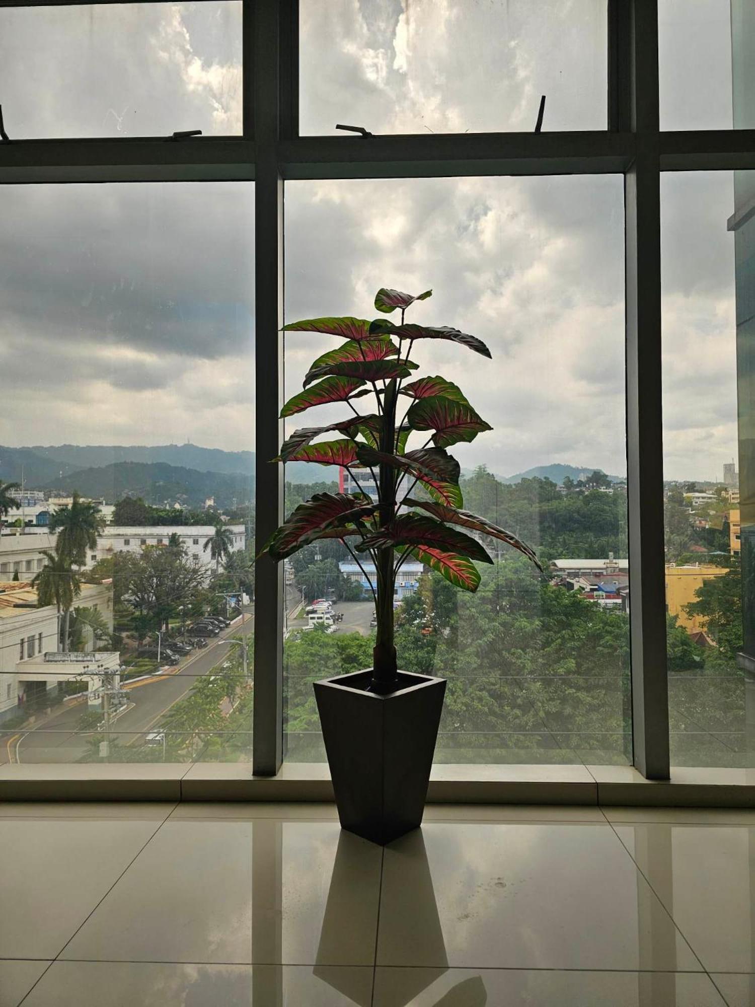 Cebu Capitol Central Hotel & Suites Powered By Cocotel المظهر الخارجي الصورة